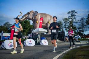 BIB: 
                            <button type="button" onclick="openModal(26541974)" class="btn btn-primary btn-sm float-right btn-popup" data-toggle="modal" data-target=".modal-high-quality">
                        <i class="fas fa-shopping-cart"></i> Add to Cart
                    </button>
                                            <button type="button" onclick="isThisMe(26541974, true)" class="btn btn-success btn-sm float-right btn-popup btn-isme hidden" data-toggle="tooltip" data-placement="bottom" title="นี่คือรูปของคุณใช่ไหม คลิกที่นี่เพื่อเอาเข้าอัลบั้ม">
                        <i class="fas fa-plus"></i> Add to album
                    </button>
                    <button type="button" onclick="isThisMe(26541974, false)" class="btn btn-warning btn-sm float-right btn-popup btn-isnotme hidden">
                        <i class="fas fa-ban"></i> Remove from album
                    </button>